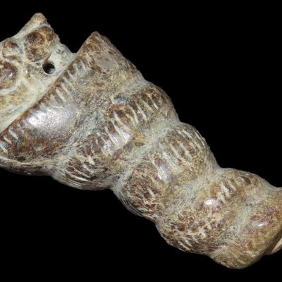 2 3/4" Zoomorphic Pendant, Hongshan Culture