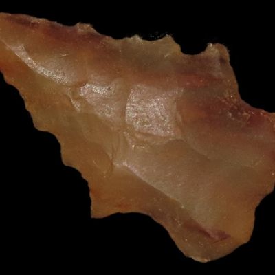 1 1/8" Merrybell Point, Petrified Wood, New Mexico