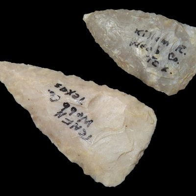 Lot of 2 Triangular Points, Webb Co., Texas