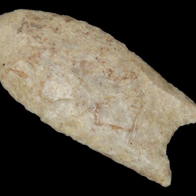 2 3/4" Clovis, Tony Putty COA, Found in St. Clair Co. Illinois, Made of Oolithic Chert, Ex Jack Litchfield
