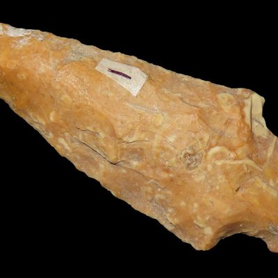 2 3/4" Benton Point, Crowley's Ridge Chert, Clay Co., Arkansas