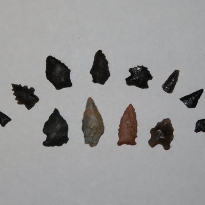 Lot of Miscellaneous Bird Points, New Mexico, Including Cold Springs, Hendricks, and Rose Spring Points