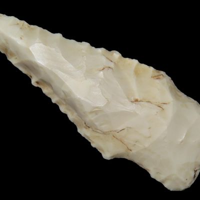 2 3/8" Serrated Kirk, Burlington Chert, Butler Co., Missouri