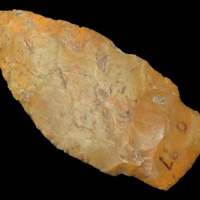 2 7/8" Scottsbluff, Motley & Leithoff COA, Crowley's Ridge Chert, Butler Co., Missouri, Ex. George Robertson