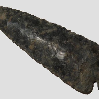 4 7/8" Dovetail, Made of Black Colored Chert, Rogers COA, Found in Randolph Co. Indiana, Ex Tony Putty