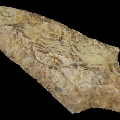 3 1/2" Dickson, Pettis Co., Missouri, Ex. Dennis Smith