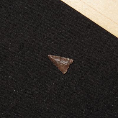 1/2" Fresno Point, New Mexico