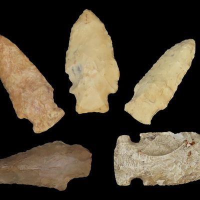 Lot of Woodland and Archaic Points, Midwest