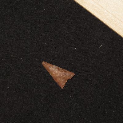 7/8" Fresno Point, New Mexico