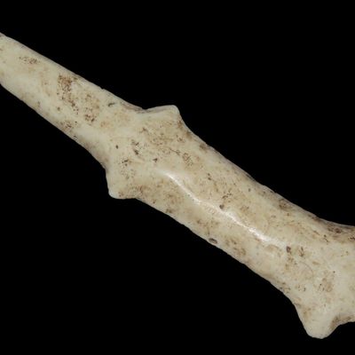 4 11/16" x 1 1/8" Polished Mace Effigy, Motley & Leithoff COA, Burlington Chert, St. Clair Co., Illinois, Ex. Mitch Lewis