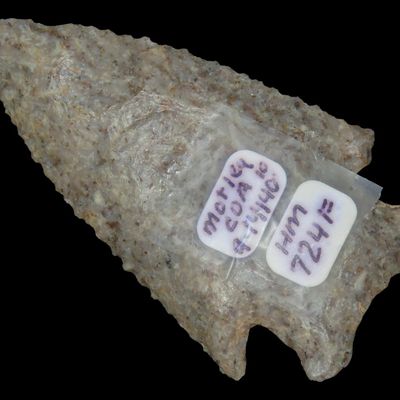 2 1/2" x 1 3/8" Hardin Point, Motley COA, Randolph Co., Illinois