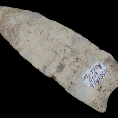 3 1/8" x 1 1/16" Holland, Motley COA, Randolph Co., Illinois
