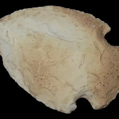 2 1/2" Grand, Tan Chert, Clay Co., Arkansas