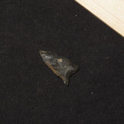 1 7/8" Coquille Side Notch, New Mexico