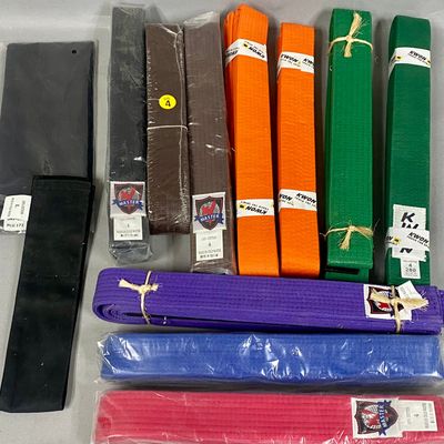 Assortment of Kwon & Master Martial Arts Belts