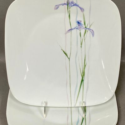 Corelle Shadow Iris Vitrelle Glass Dinner Plates