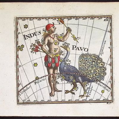 Thomas - Constellation or Celestial Chart of Indus (Indian) & Pavo (Peacock)