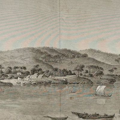 Peron & Freycinet - View of Timor, Australia [New Holland]