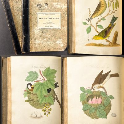 Bolton's Harmonia Ruralis or British Song Birds - Two Volumes with 80 Originally Hand-Colored Engravings