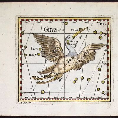 Thomas - Constellation or Celestial Chart of Grus (Crane)