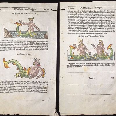 Pare, pub. 1664 - 3 Engravings of Mermen, Mermaids, & Sea Monsters