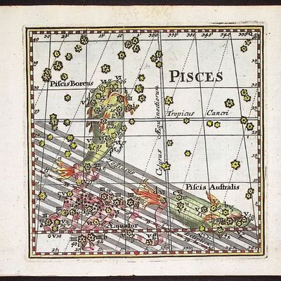 Thomas - Constellation or Celestial Chart of Pisces (Fish)