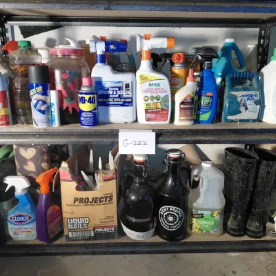 Assorted Household Chemicals II