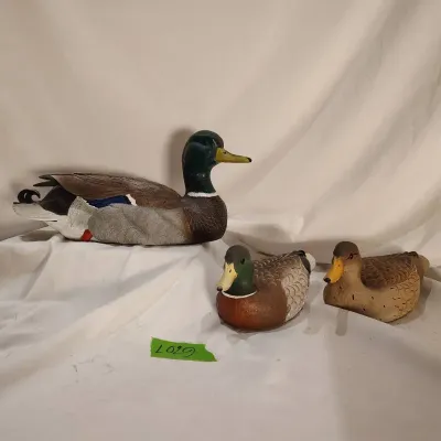 Three North American Decoy Ducks