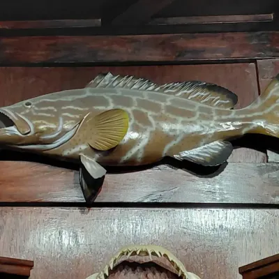Replica Black Grouper Wall Mount