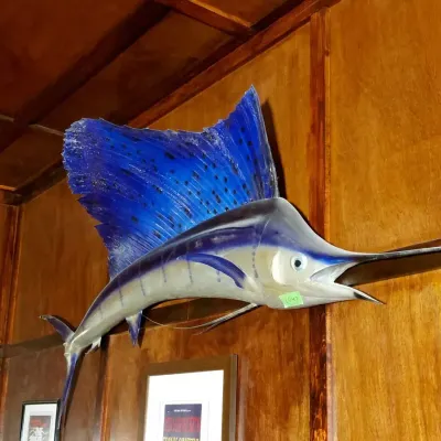 Replica Sailfish Mount