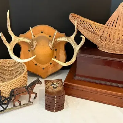 Deer Antlers, Storage & More