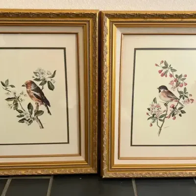 Birds of a Feather Art in Gold Frames