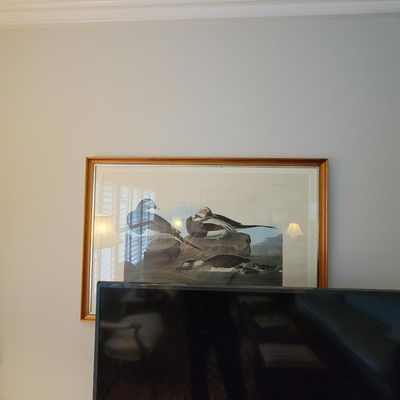 Framed John James Audubon print depicting ducks, housed in a classic gold-toned wooden frame.