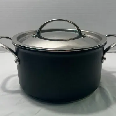 Williams Sonoma Therma-Clad Nonstick Pot
