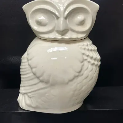 Decorative Owl Cookie Jar from Macys