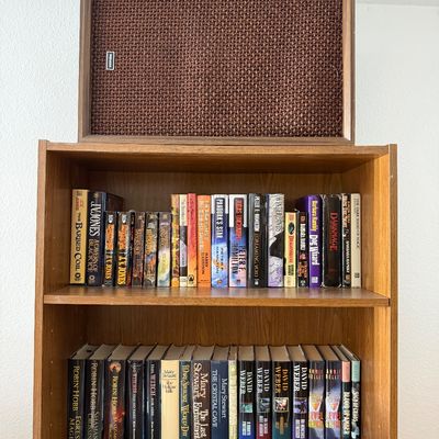 Vintage Pioneer speaker with a woven brown grille cloth, sitting atop a wooden bookshelf filled with fantasy and sci-fi novels.
