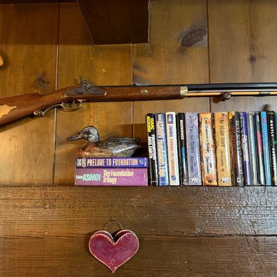 Vintage percussion cap black powder rifle mounted on a wood-paneled wall above a shelf of science fiction and fantasy novels, a wooden...