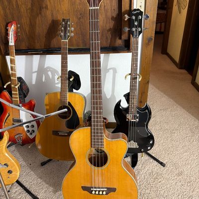 Collection of stringed instruments on stands, featuring an Alvarez acoustic-electric bass guitar in the foreground, flanked by a Yamaha...