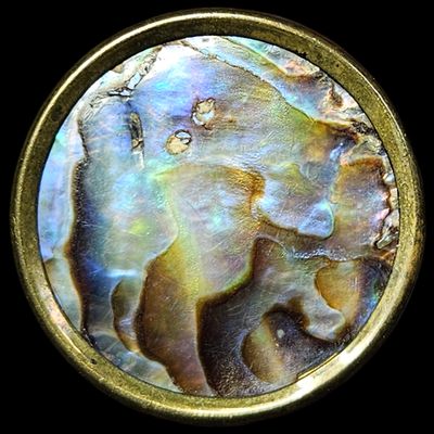 Vintage Brass and Abalone Shell Inlay Superfine Quality Shank Button