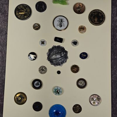 An Assortment of Vintage and Antique Insect Motif Buttons