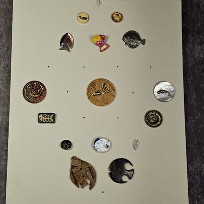 An Assortment of Fourteen Collectible Buttons with Aquatic and Marine Life Motifs