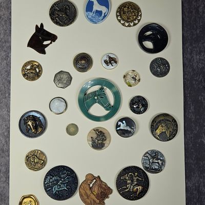 A Collection of Equestrian Themed Vintage and Antique Buttons and Accessories