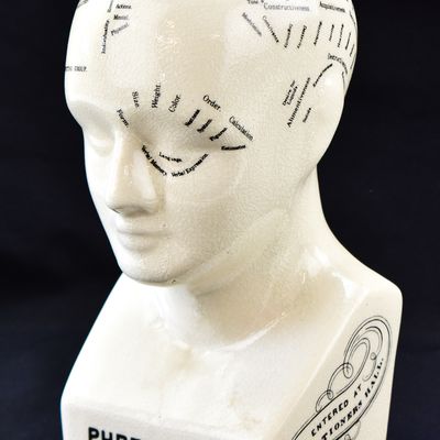 CONTEMPORARY L.N. FOWLER PHRENOLOGY HEAD BUST