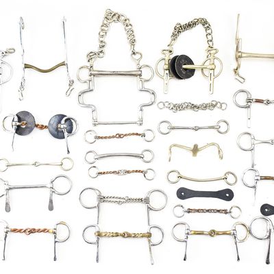 COLLECTION OF HORSE BITS