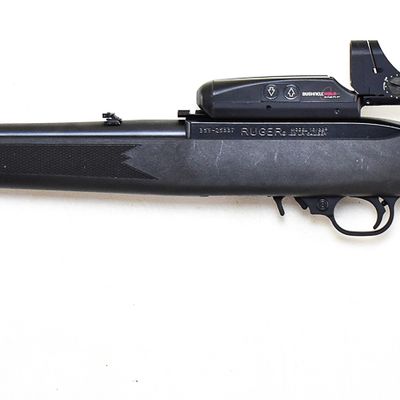 RUGER MODEL 10/22 .22 LR SEMI-AUTOMATIC RIFLE W/ BUSHNELL HOLOSIGHT