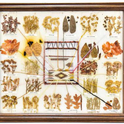 FRAMED NAVAJO VEGETAL DYE CHART