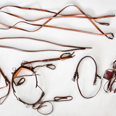 AMERICAN MINIATURE HORSE REGISTRY RUSSET SHOW HARNESS