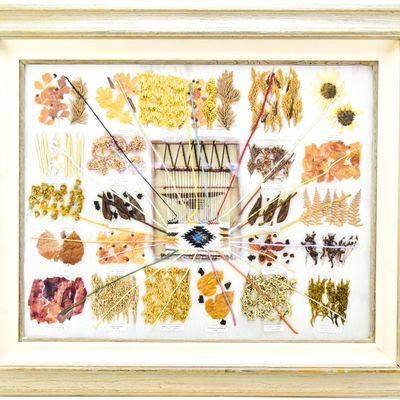 NAVAJO VEGETAL DYE CHART; FRAMED
