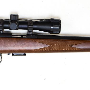 ANSCHUTZ MODEL 1517 .17 HMR BOLT-ACTION RIFLE W/ BUSHNELL SCOPE