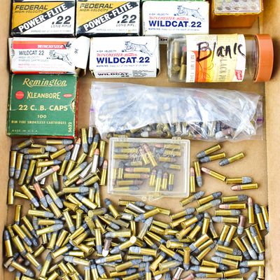 APPROXIMATELY 950 ROUNDS OF .22 AMMUNITION